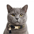 M&P - Collier Réglable Chat Becky