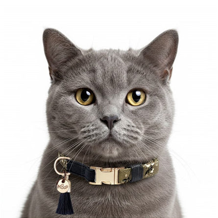 M&P - Collier Réglable Chat Becky