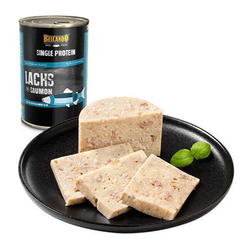 BLCO - Single protein - Saumon