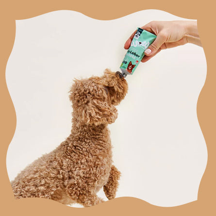 Wow-Dog Bio Paté tube