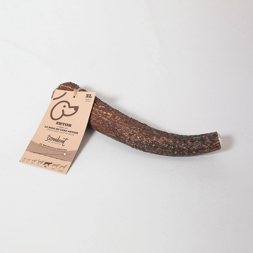 Bois de cerf entier à mâcher