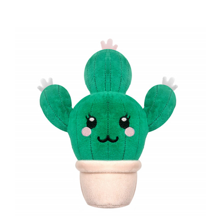 M&P Rita Cactus - fouille