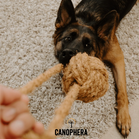 Canophera - CocoBall