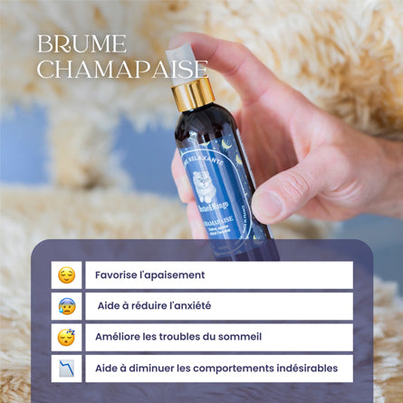 Dexter&Mango - Brume relaxante chat