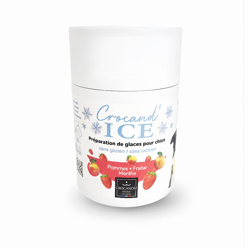 Crocandiz - Préparation pour Glace pour chien