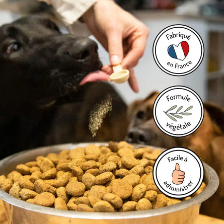 T&M - Gambade Confort Articulaire – Chien & Chat