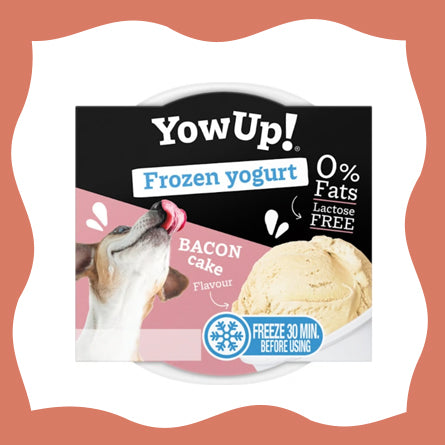 YowUp - Glace