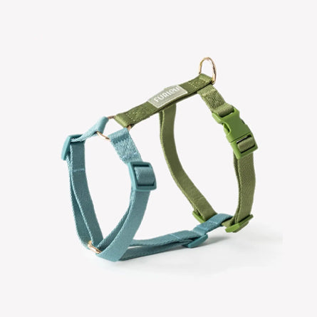Furlou-Harnais sangle Bleu & Vert