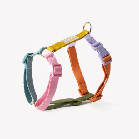 Furlou-Harnais sangle Arc en ciel
