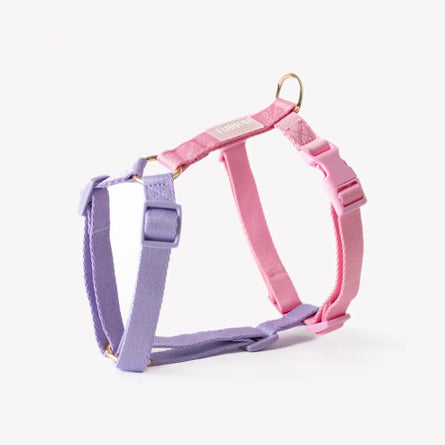 Furlou-Harnais sangle Lavande & Rose