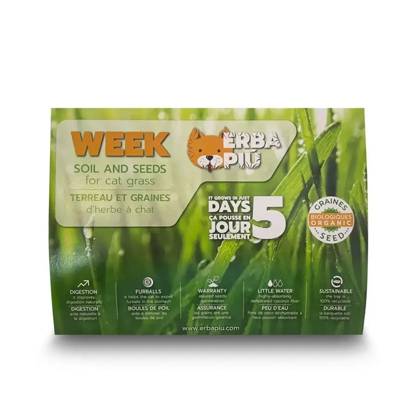 Erba Più - Kit complet herbe à chat