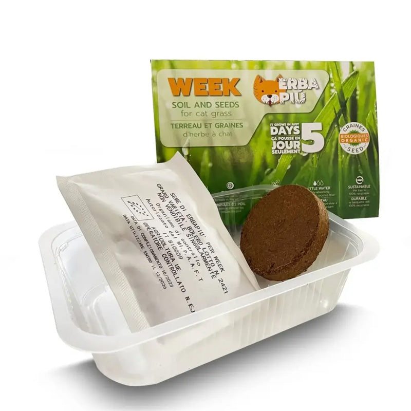 Erba Più - Kit complet herbe à chat