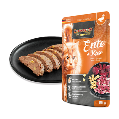 Leonardo - Terrine Canard fromage