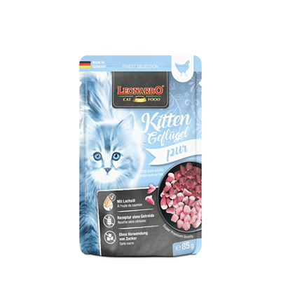Leonardo - Terrine Chaton