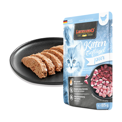 Leonardo - Terrine Chaton