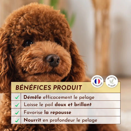 Dexter&Mango - Lotion Rebel - Chien et chat