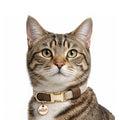 M&P - Collier Réglable Chat - Madura