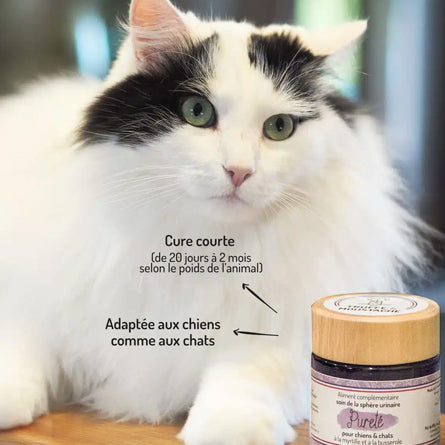 T&M - Pureté Confort Urinaire – Chien & Chat