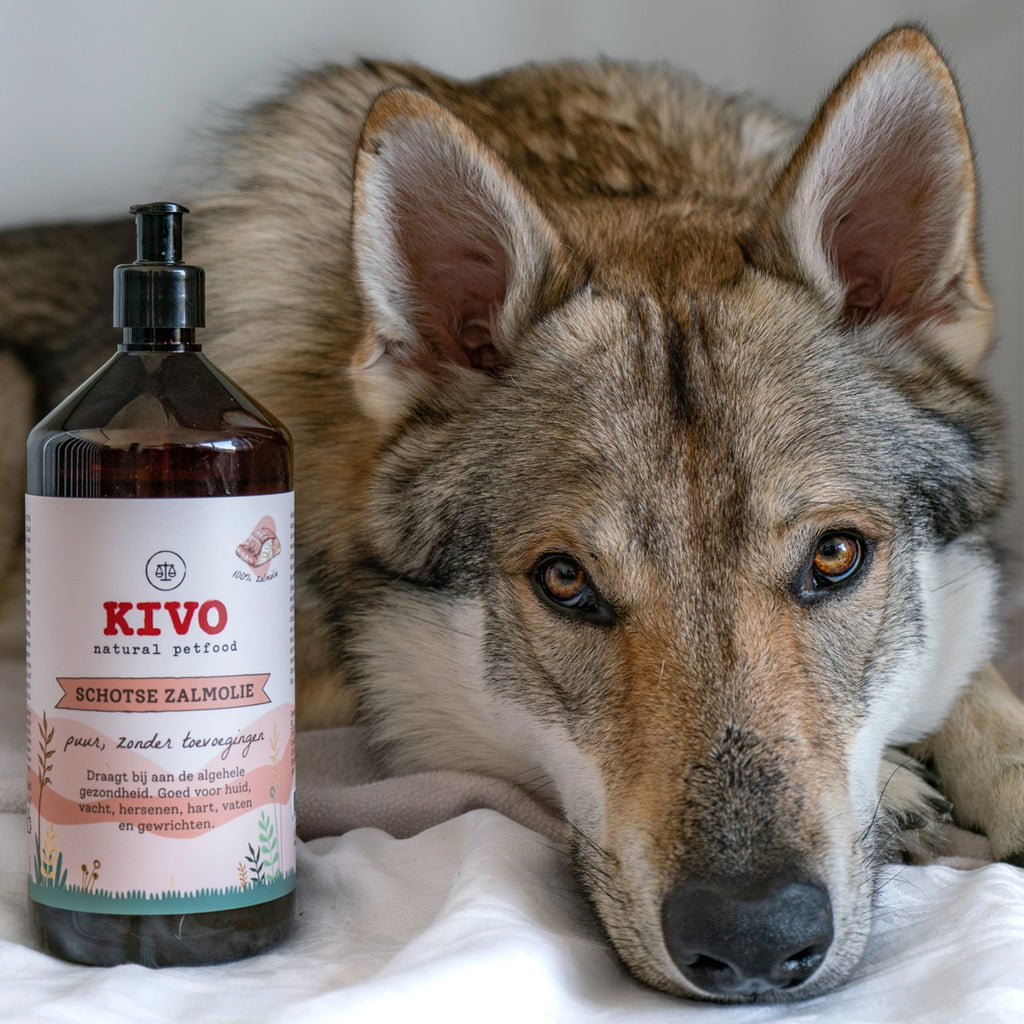 Kivo - Huile pure de Sardine
