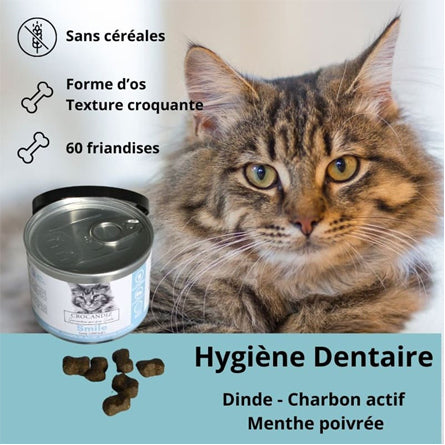 Crocandiz - Friandise - Smile