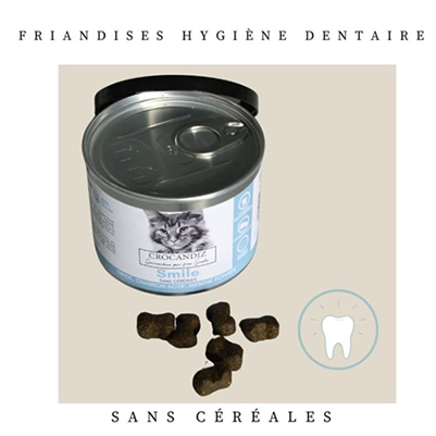 Crocandiz - Friandise - Smile