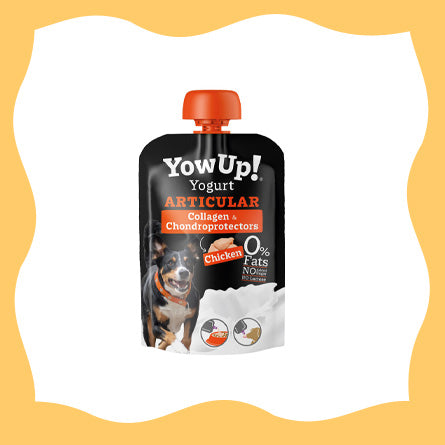Yow Up - Articulaire